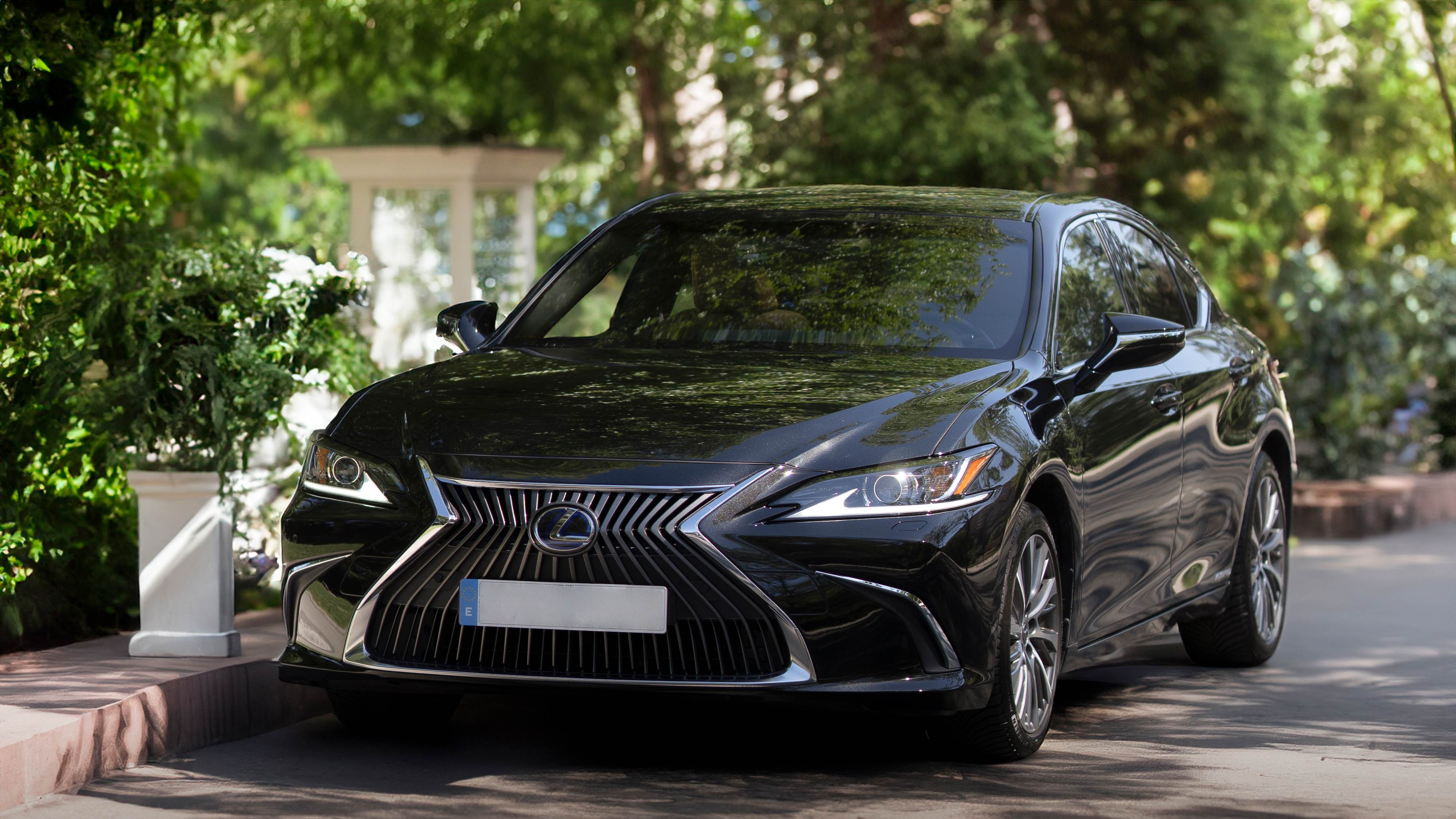Lexus de frente en un jardín a modo de estudio.