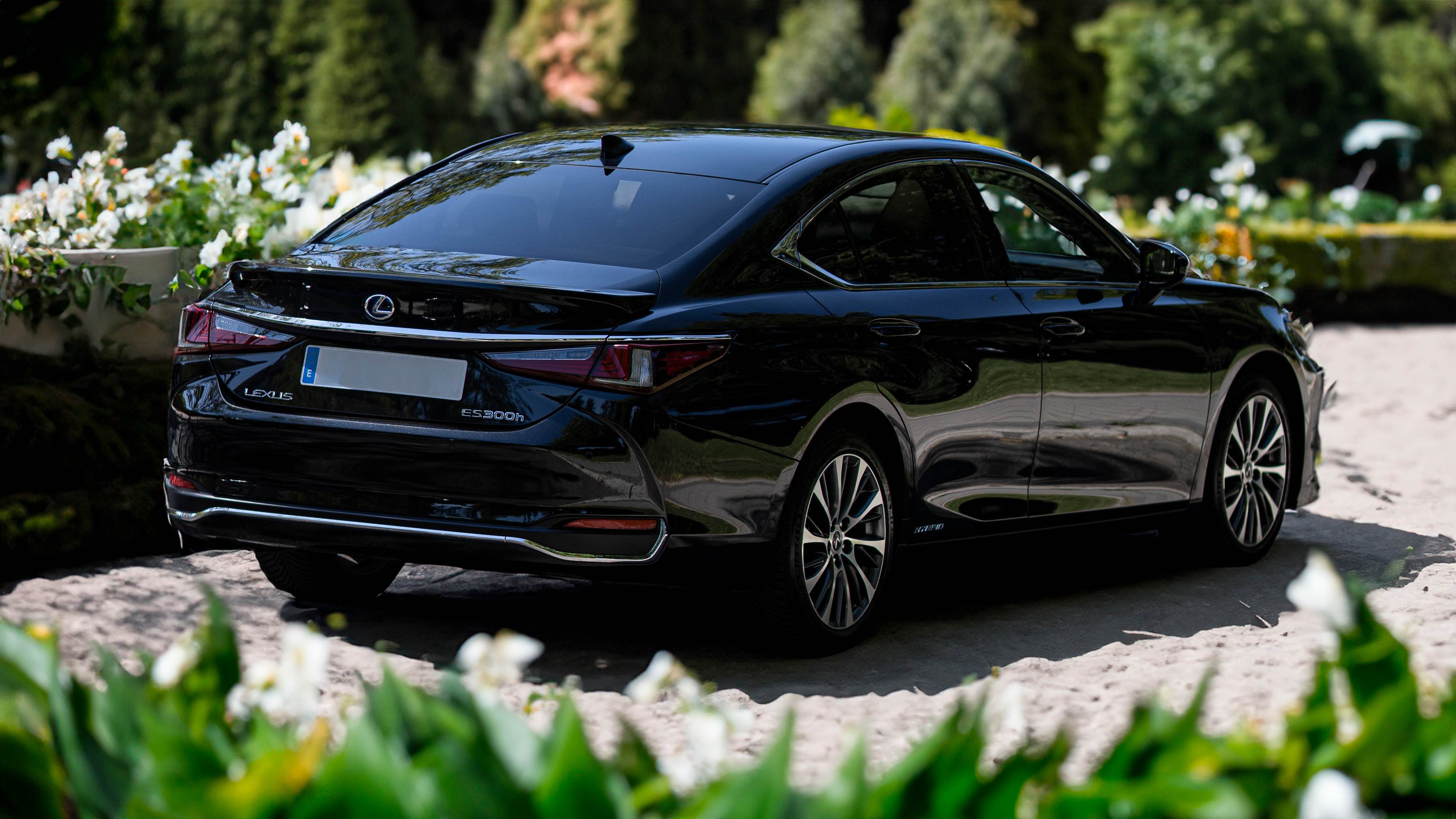 Lexus de tres cuartos trasero en un jardín-estudio.